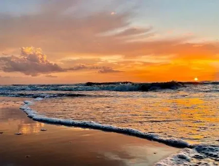 House Zeelust - 2 Km From The Noordwijkerhout